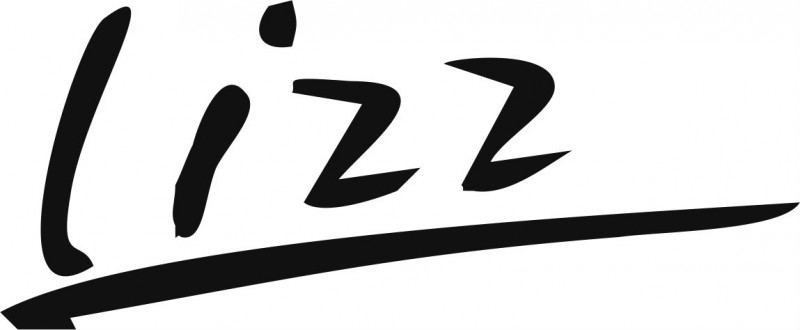 Assistência técnica Lizz 
						 em Constantina